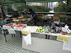 目黒区リバーサイドフェスティバル2011_a0212056_165414.jpg
