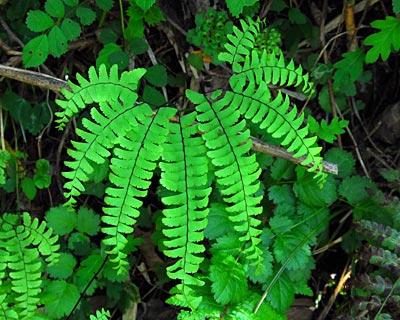 e0035757_0105514.jpg