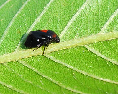 e0035757_0121531.jpg