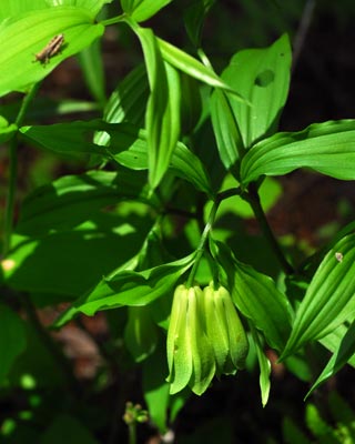 e0035757_041615.jpg