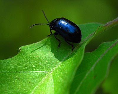 e0035757_044727.jpg