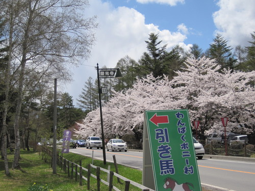 f0236260_203796.jpg