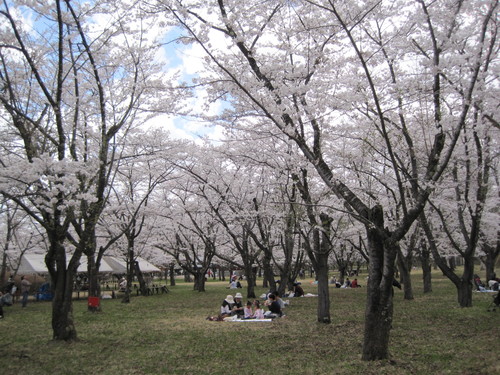 f0236260_2311878.jpg