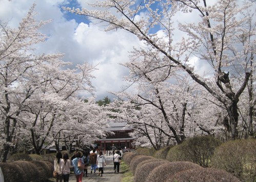 f0236260_231632.jpg