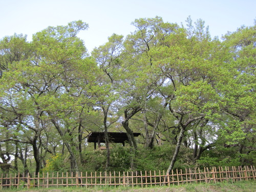 f0236260_23243012.jpg
