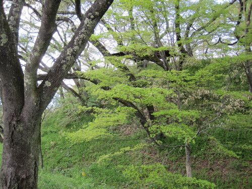 f0236260_23252614.jpg