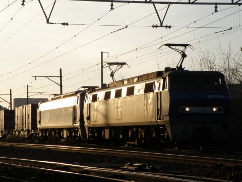 b0129163_811633.jpg
