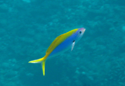 e0184067_16323477.jpg