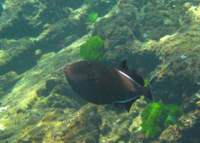 e0184067_16325280.jpg