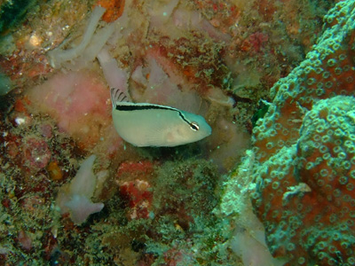 e0184067_16332195.jpg