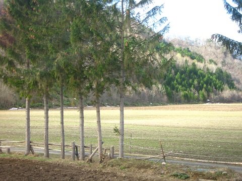 a0156782_133736100.jpg
