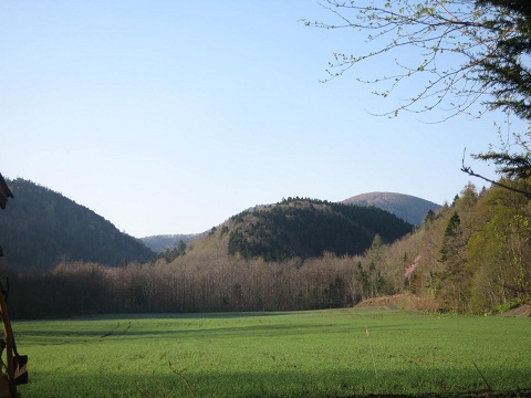 a0156782_13434822.jpg