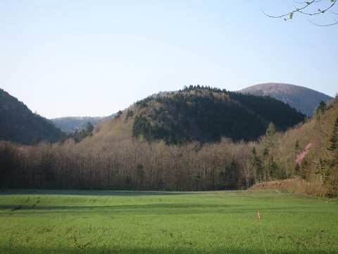a0156782_1344877.jpg