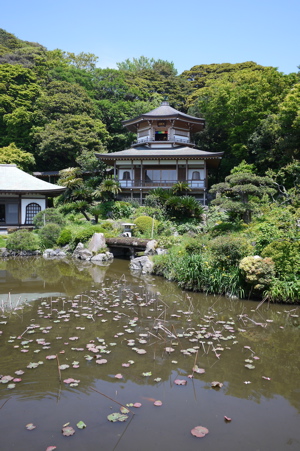 b0236186_17321465.jpg