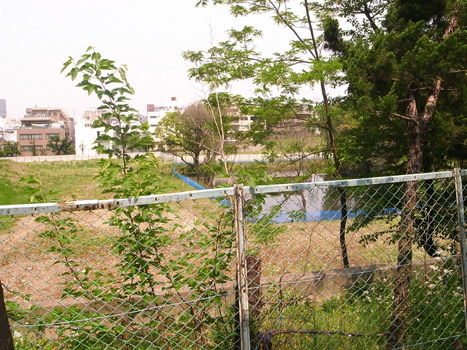 f0024090_17494220.jpg