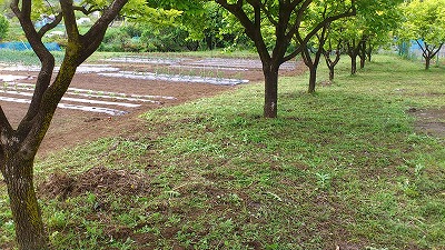 e0270403_16243770.jpg