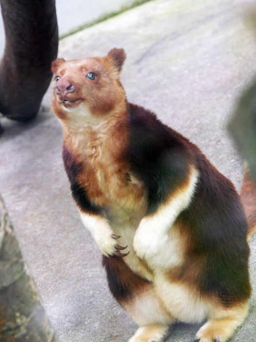 a0164204_20404861.jpg