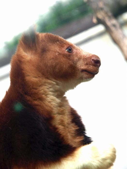 a0164204_20455840.jpg