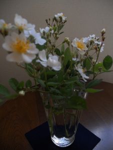 母の日_f0218407_1059102.jpg