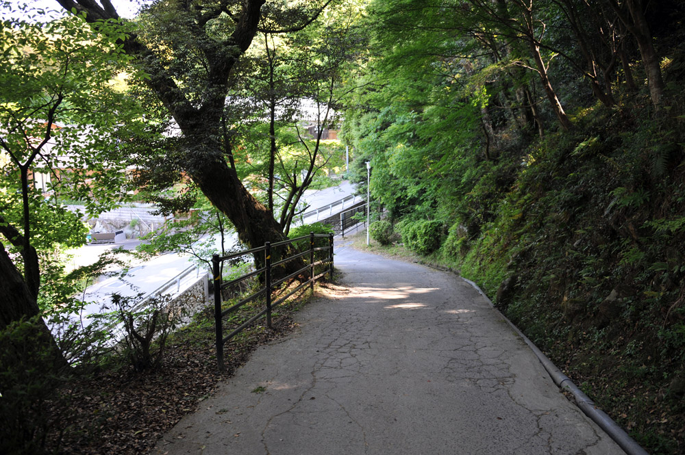 宝満山 ヘロヘロ登山記_a0042310_11244813.jpg