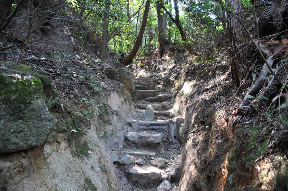 宝満山 ヘロヘロ登山記_a0042310_11311456.jpg