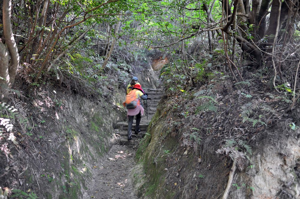 宝満山 ヘロヘロ登山記_a0042310_1131255.jpg