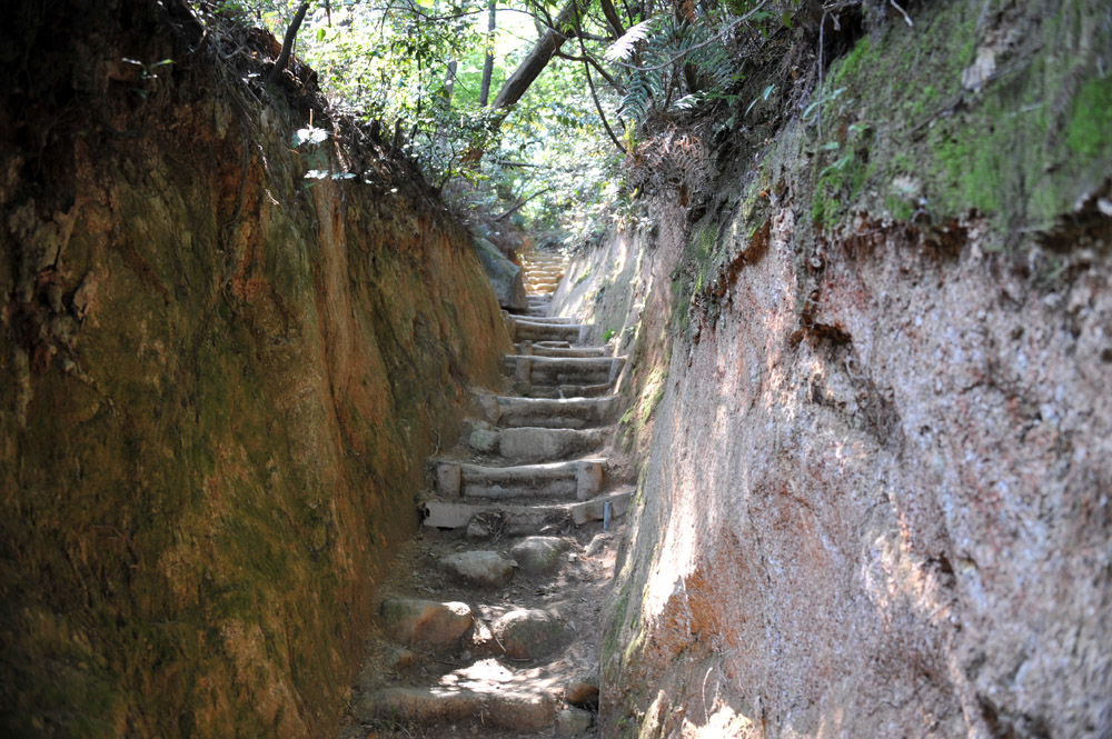 宝満山 ヘロヘロ登山記_a0042310_11323285.jpg