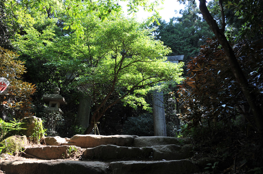 宝満山 ヘロヘロ登山記_a0042310_11375895.jpg