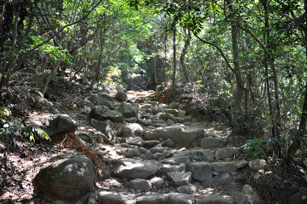 宝満山 ヘロヘロ登山記_a0042310_1137773.jpg