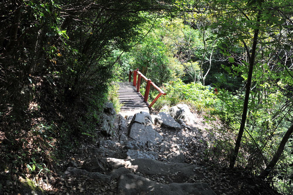 宝満山 ヘロヘロ登山記_a0042310_11392737.jpg