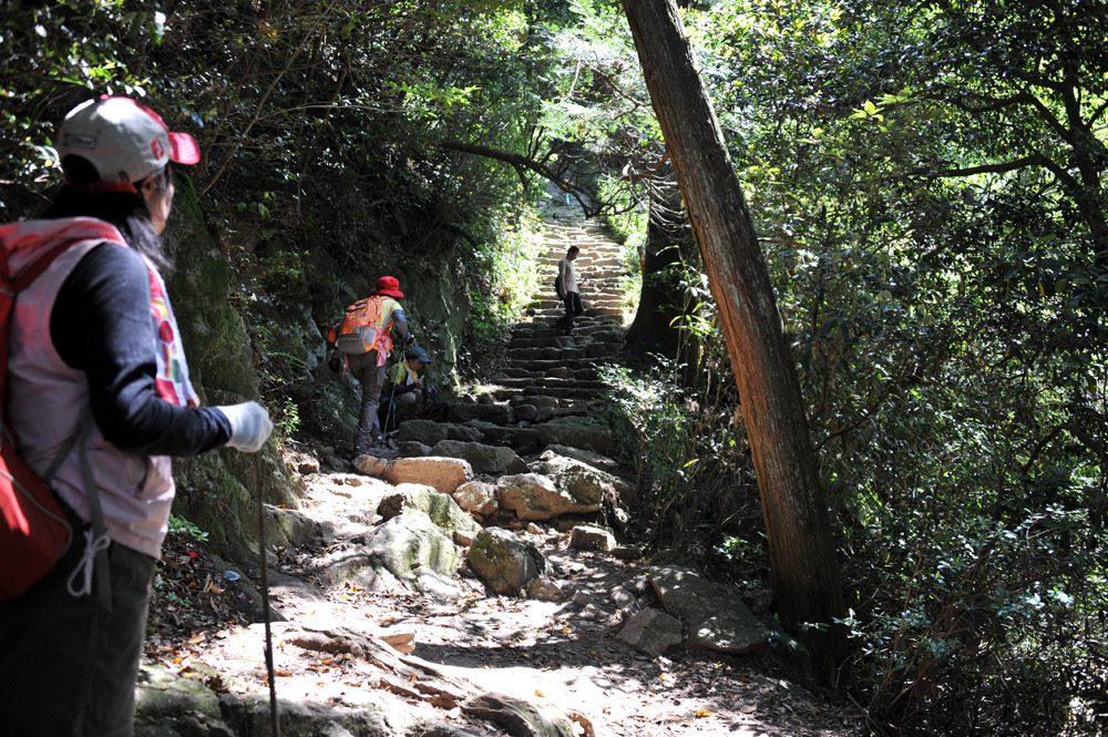 宝満山 ヘロヘロ登山記_a0042310_11425654.jpg