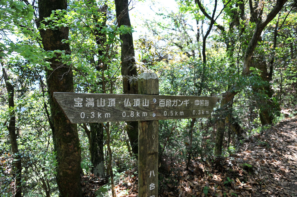 宝満山 ヘロヘロ登山記_a0042310_12165858.jpg