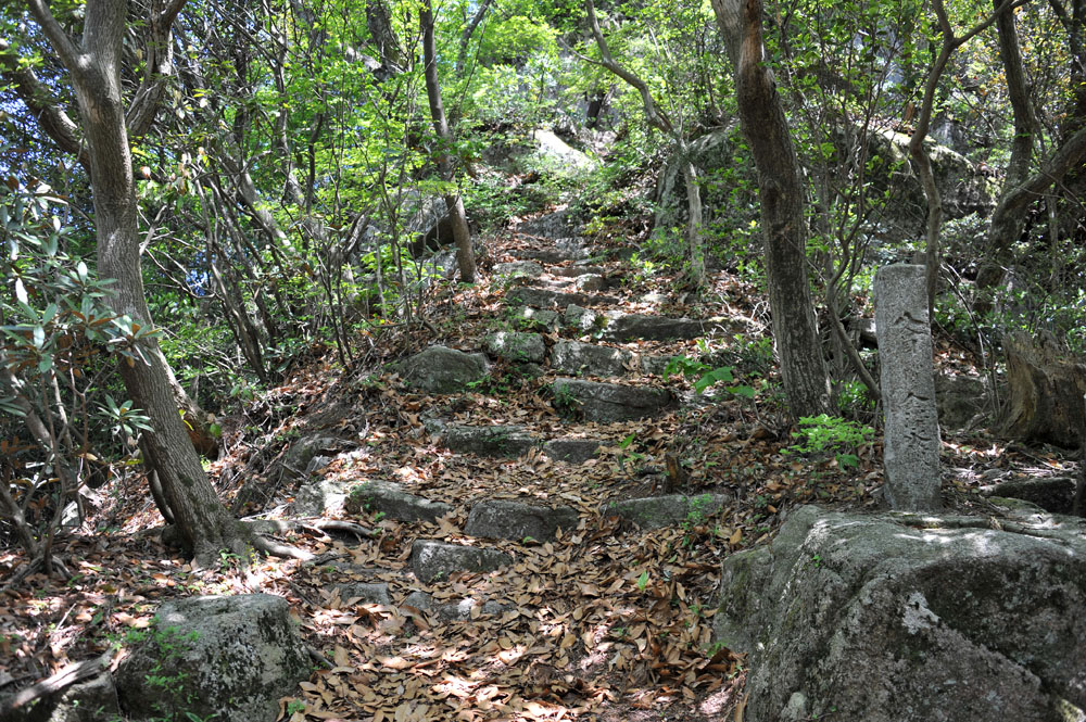 宝満山 ヘロヘロ登山記_a0042310_12184094.jpg