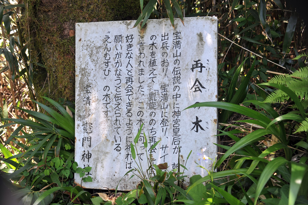 宝満山 ヘロヘロ登山記_a0042310_12452994.jpg