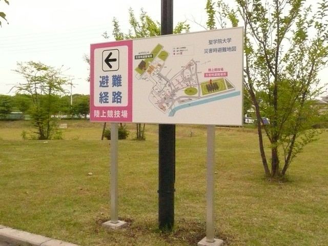 f0065815_8292437.jpg