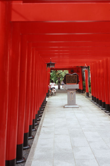 田村神社_a0071021_20592374.jpg