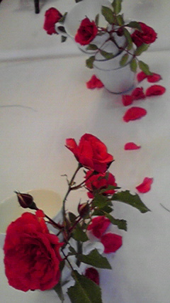 d0110022_21175857.jpg