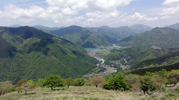 大野山へ行こう！_e0089826_23454826.jpg