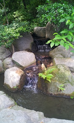 e0176627_8292463.jpg