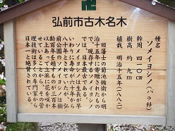 念願叶って_f0129627_935878.jpg