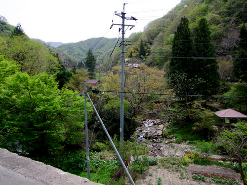 「島根県・仁多郡奥出雲町 櫻井家住宅・日本庭園と清聴庵の十割そば」_a0000029_9282555.jpg