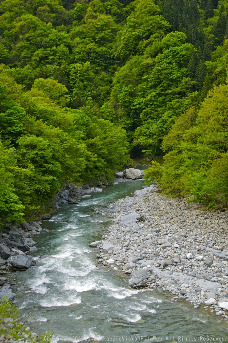 ２０１２　５月１２日秩父滝沢サイクルパークの風景VOL1_b0065730_18511692.jpg