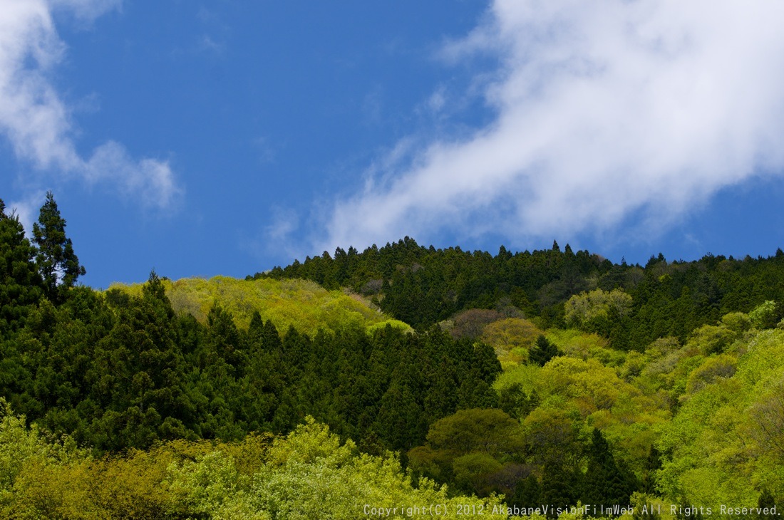 ２０１２　５月１２日秩父滝沢サイクルパークの風景VOL1_b0065730_18582369.jpg