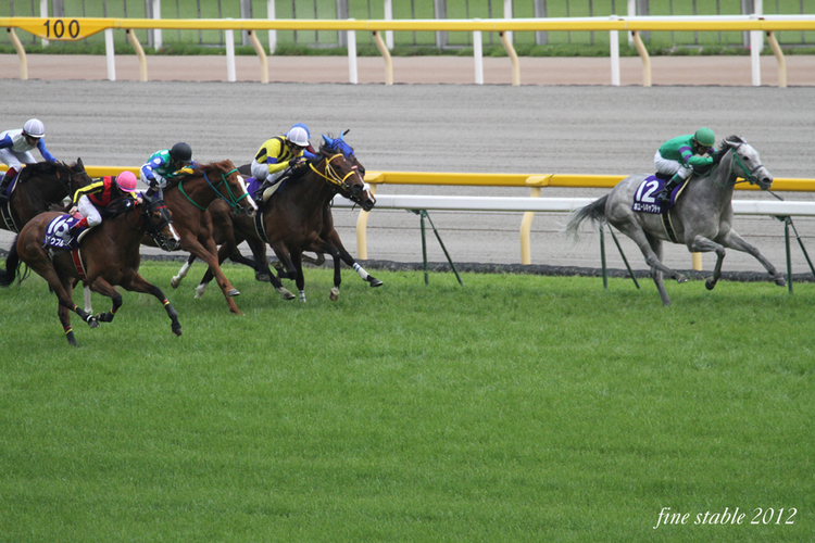 5.13 東京競馬場 ： 快晴_c0240132_843358.jpg