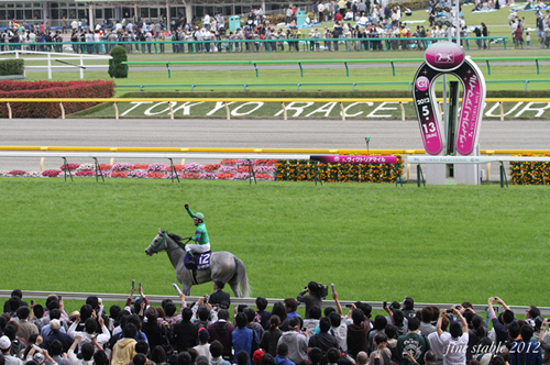 5.13 東京競馬場 ： 快晴_c0240132_9162392.jpg