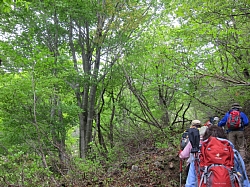 e0200734_10221975.jpg