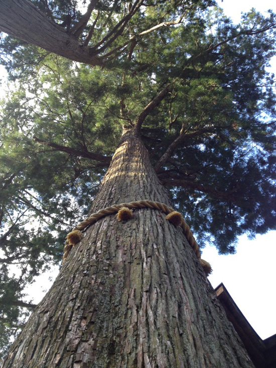 三峰神社_c0053436_1391214.jpg