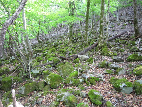e0232236_18321033.jpg