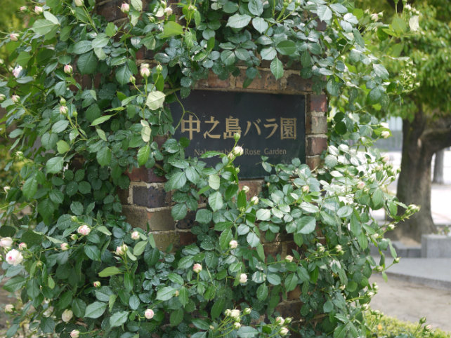 f0033940_11141644.jpg