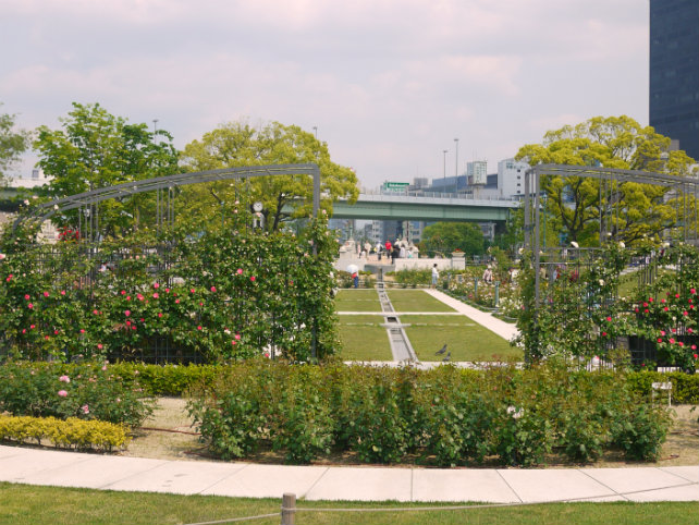 f0033940_1123357.jpg